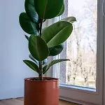 Kalamaja Park Fast Net 150 G, Bath Apartamento Tallin