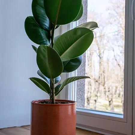 Kalamaja Park Apart, Bath, 2 Double Beds, Sofabed Apartamento Tallin